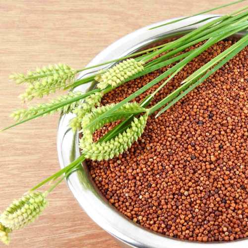 ragi-millets-a